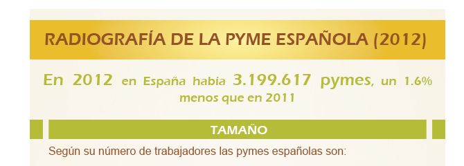 Radiografía de la pyme española en 2012